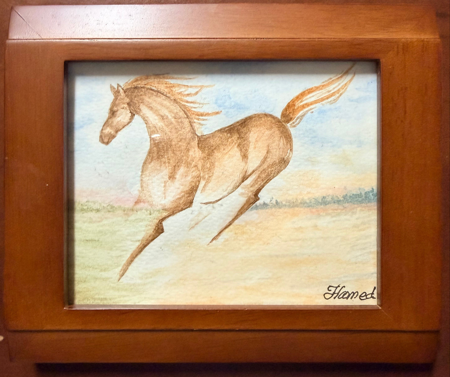 Stallion, Free Spirit