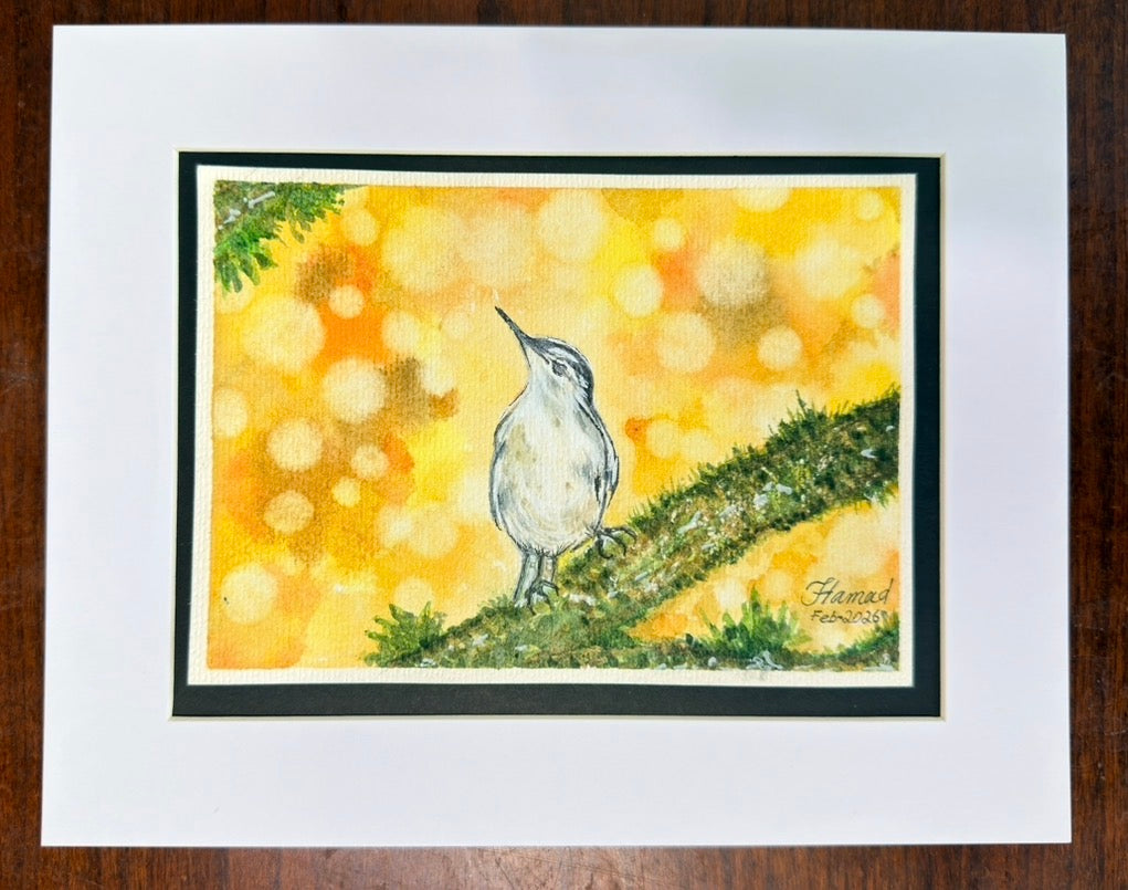 Light Keeper