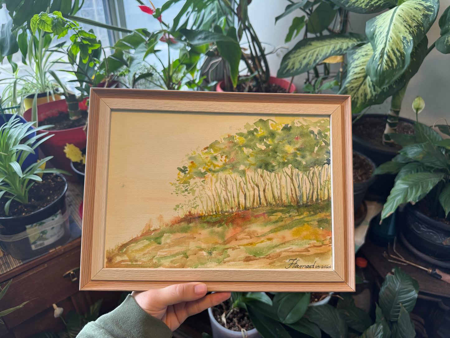 Hilltop Forest